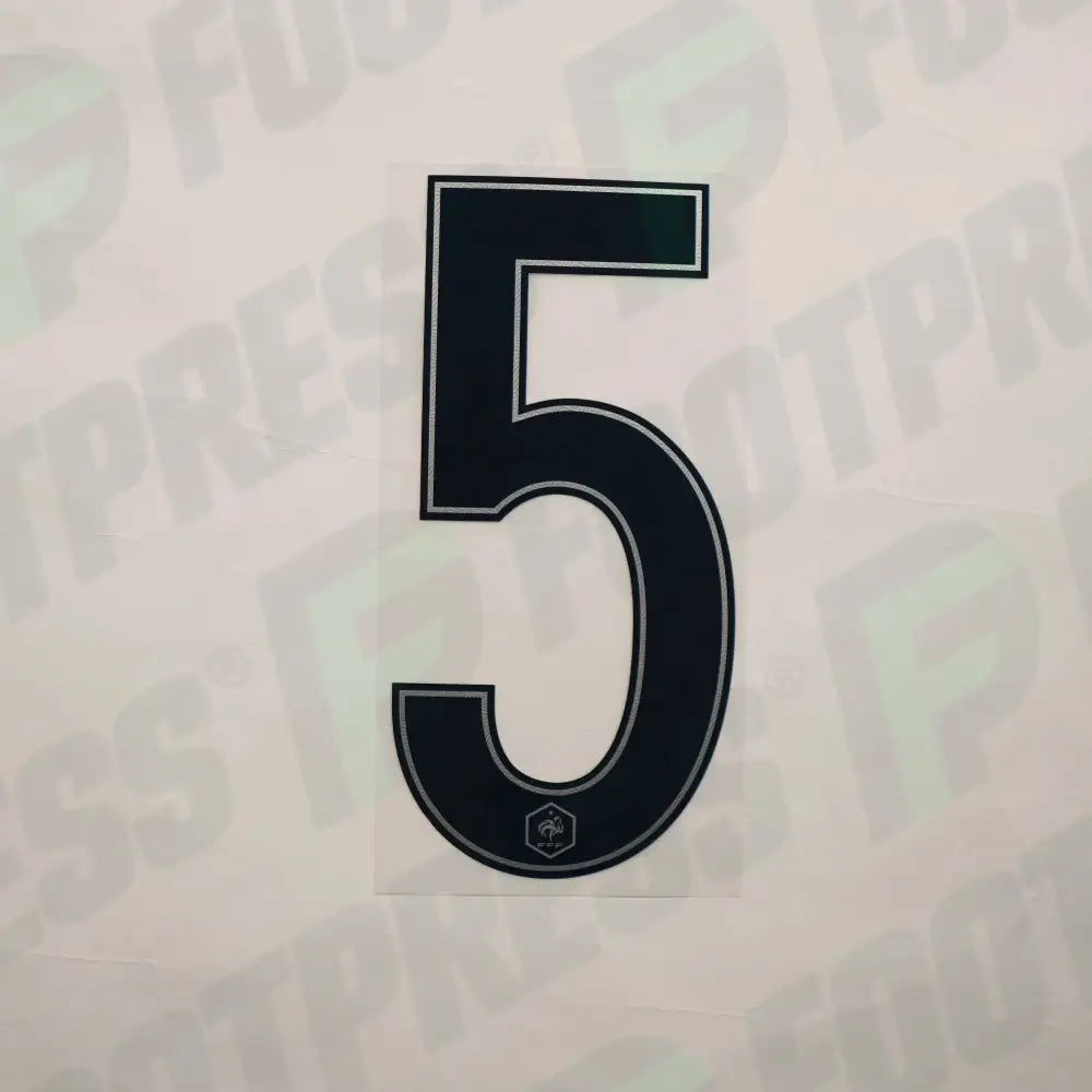 Flocado Oficial - Francia, Gran Número 5, 2016, Visitante, Azul