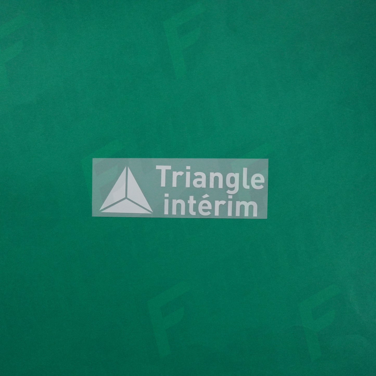 Flocage Officiel - Sponsor, AS Monaco, Triangle Intérim, Blanc