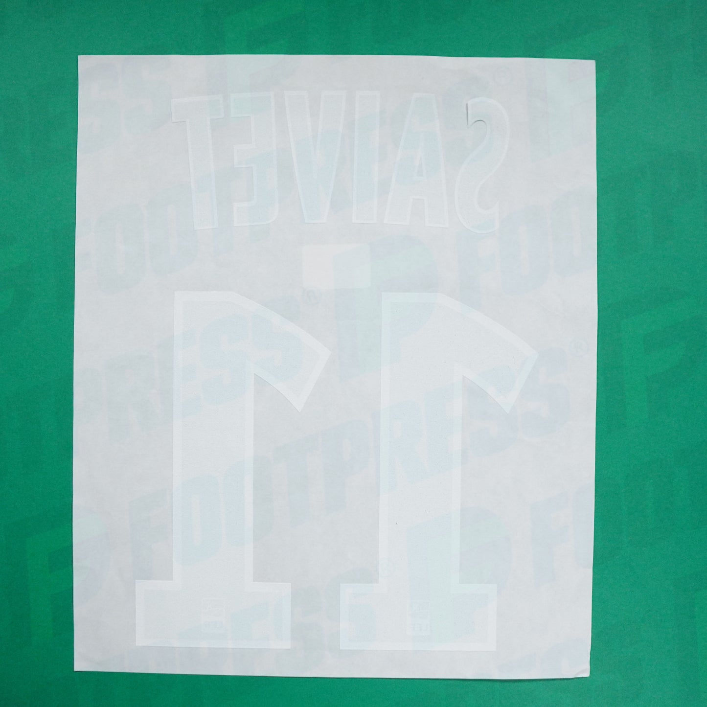 Official Nameset - AS Saint-Etienne, Saivet, 2016/2017, Away, Green (ASSE)