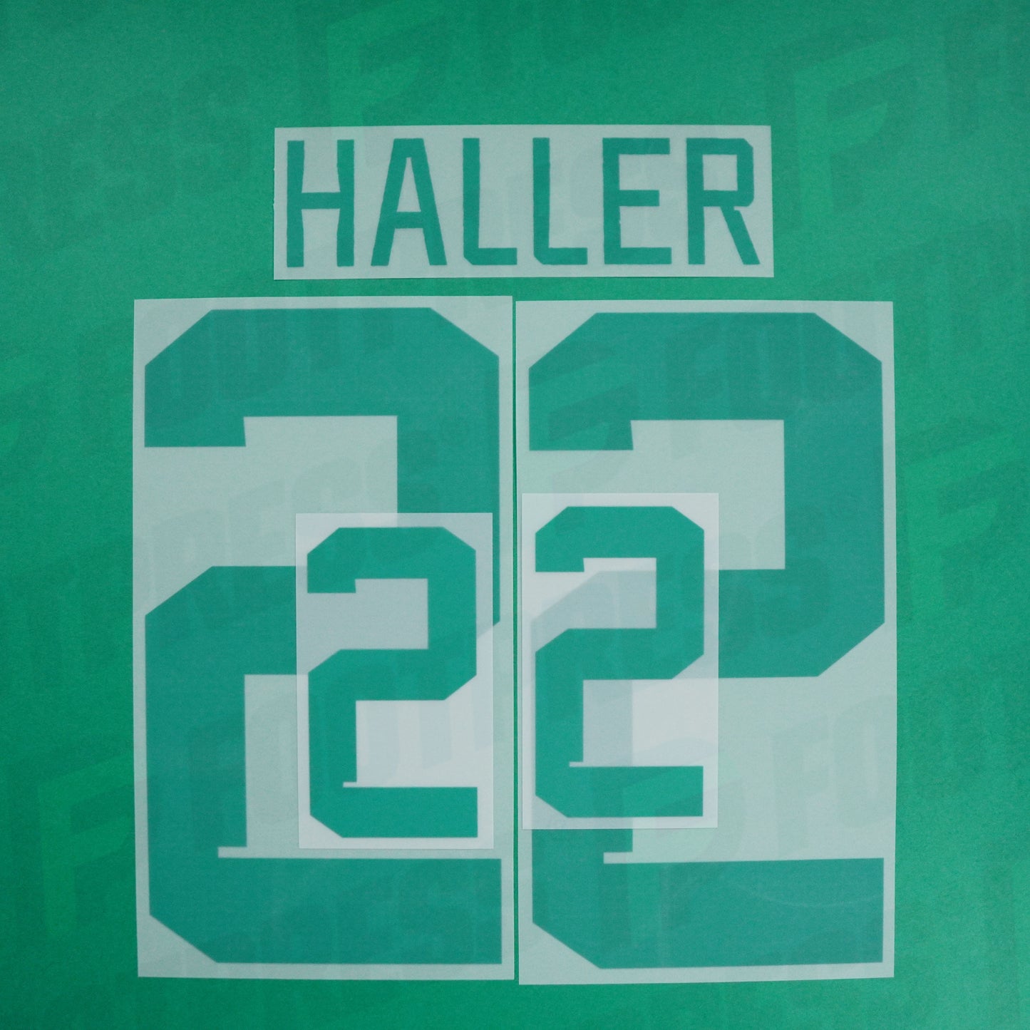 Flocage Officiel - Côte d'Ivoire, Haller, 2022, Away, Vert
