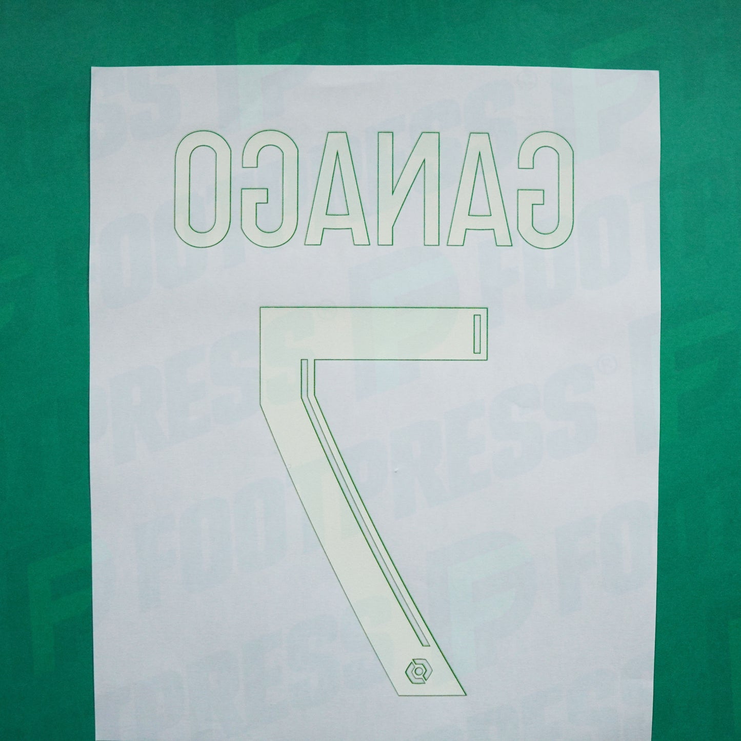 Flocage Officiel - FC Nantes, Ganago, 2022/2023 2023/2024, Home, Vert