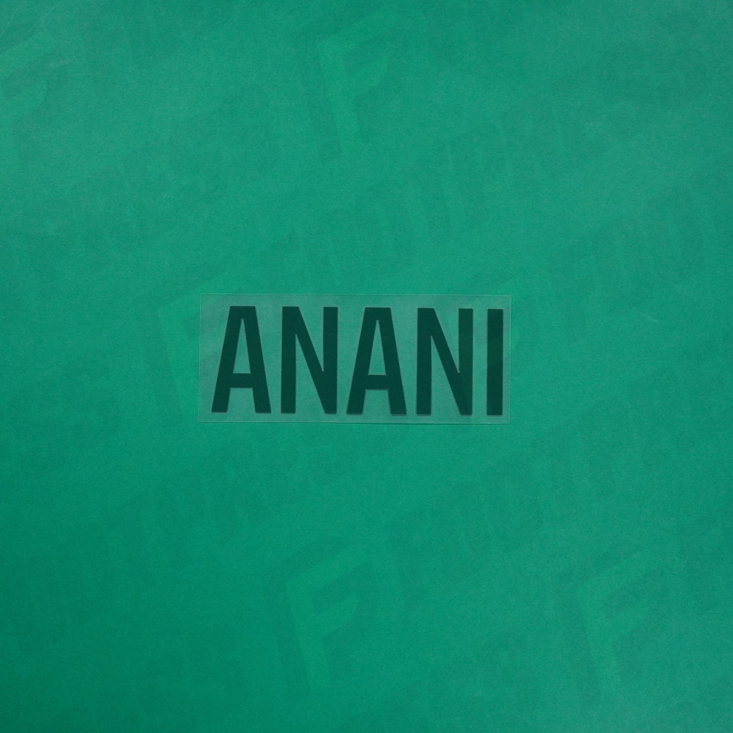 Flocage Officiel - Red Star FC, Anani, Ligue 2, Nom seul, Vert