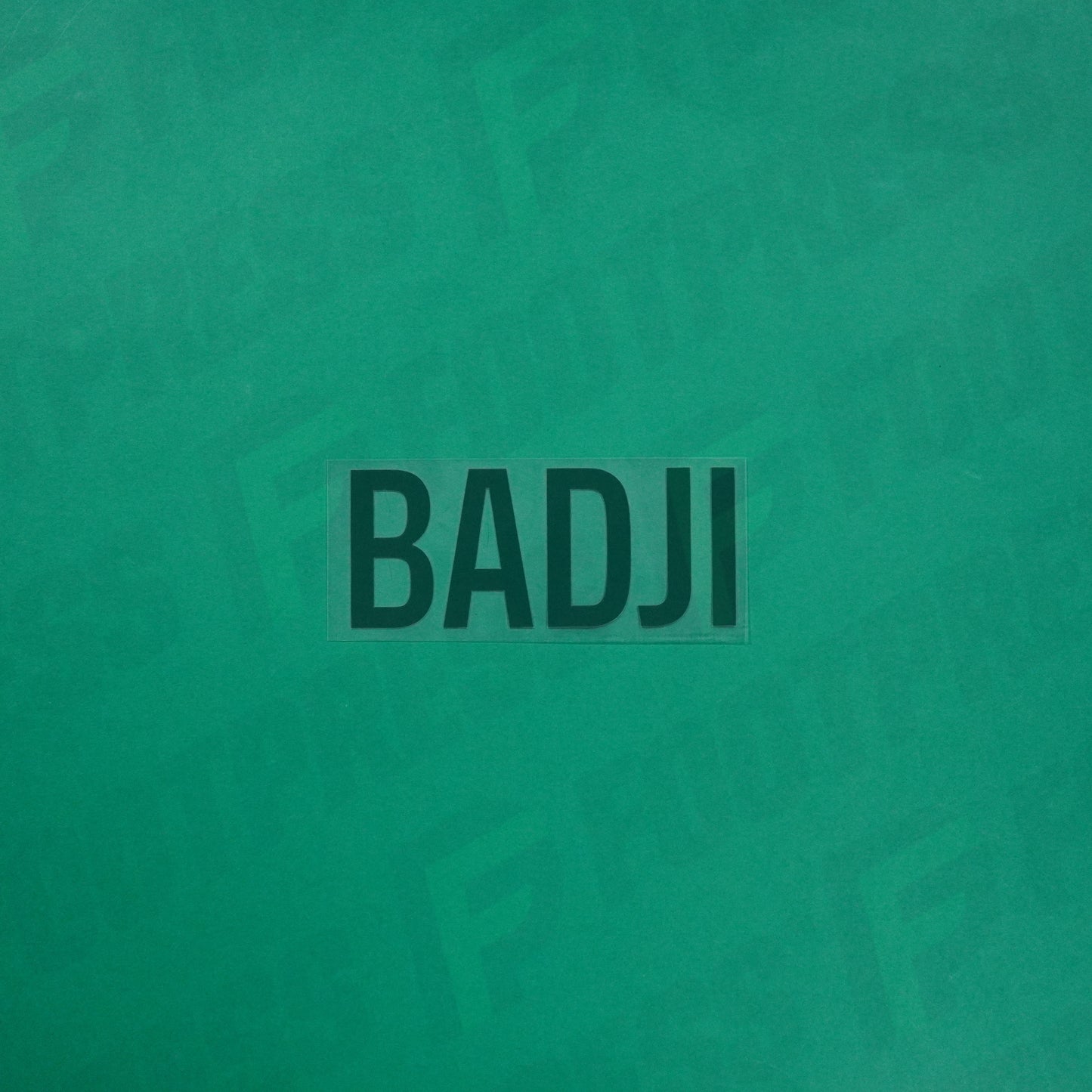 Flocage Officiel - Red Star FC, Badji, Ligue 2, Nom seul, Vert