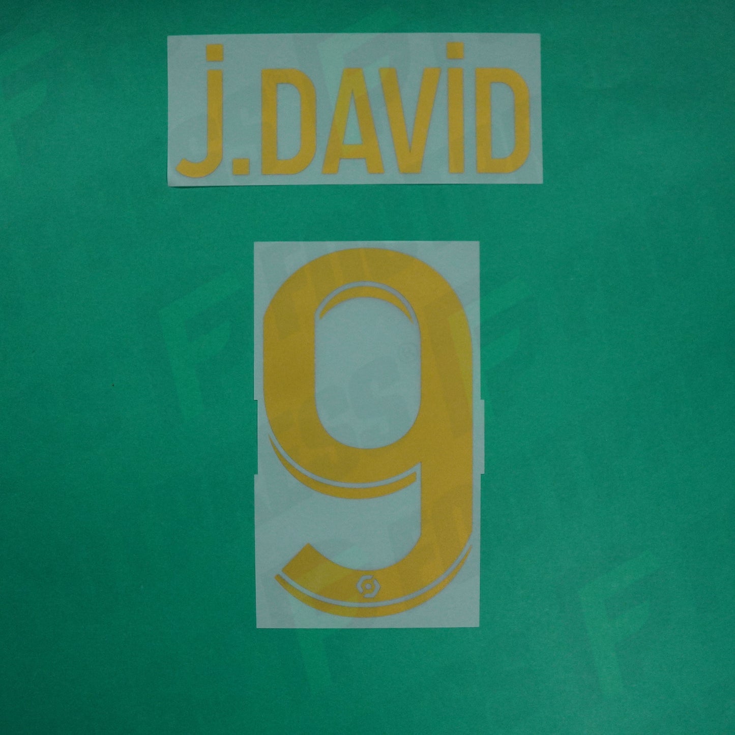 Flocage Officiel - Lille OSC, David, 2022/2023, Third, Doré