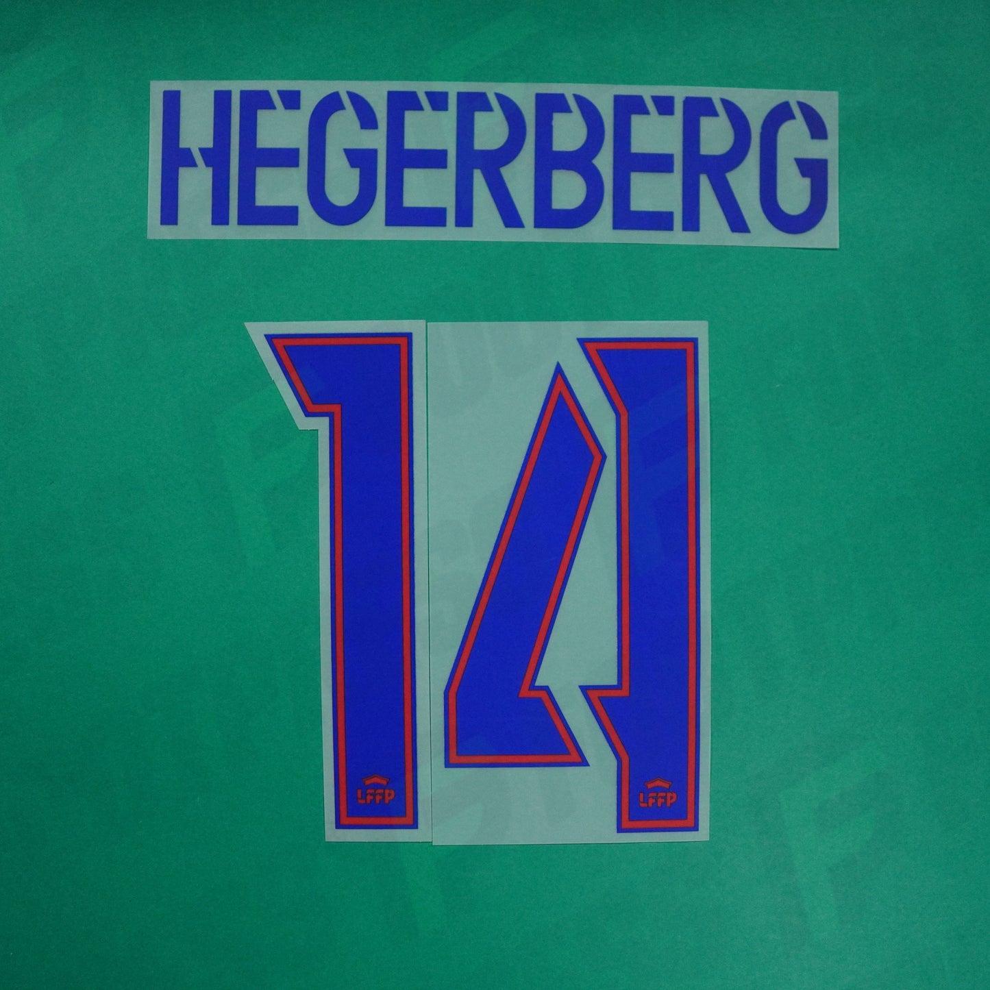 Flocage Officiel - Olympique Lyonnais Féminine, Hegerberg, 2024/2025, Home, Bleu / Rouge