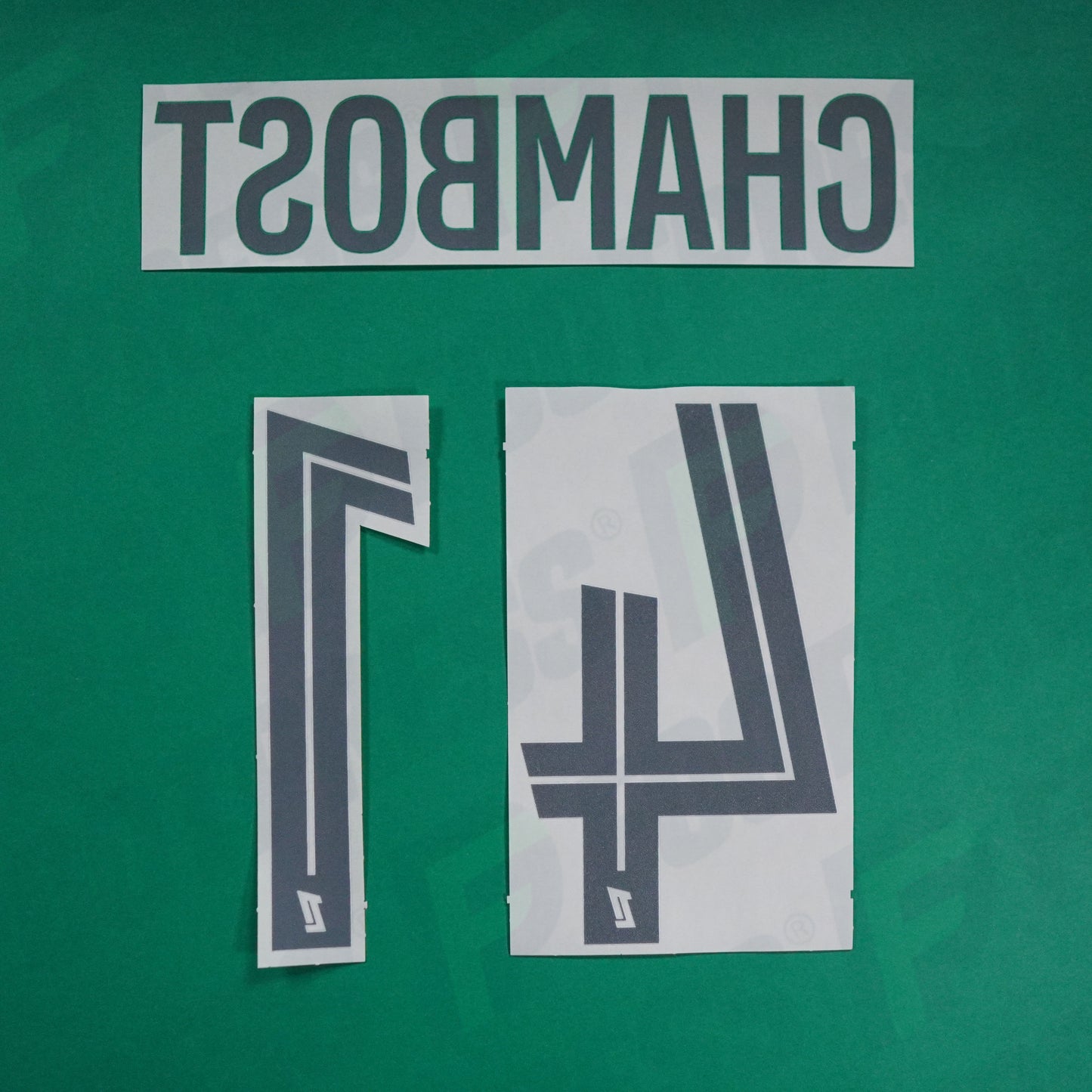 Flocage Officiel - AS Saint-Etienne, Chambost, 2024/2025, Home, Blanc/Vert