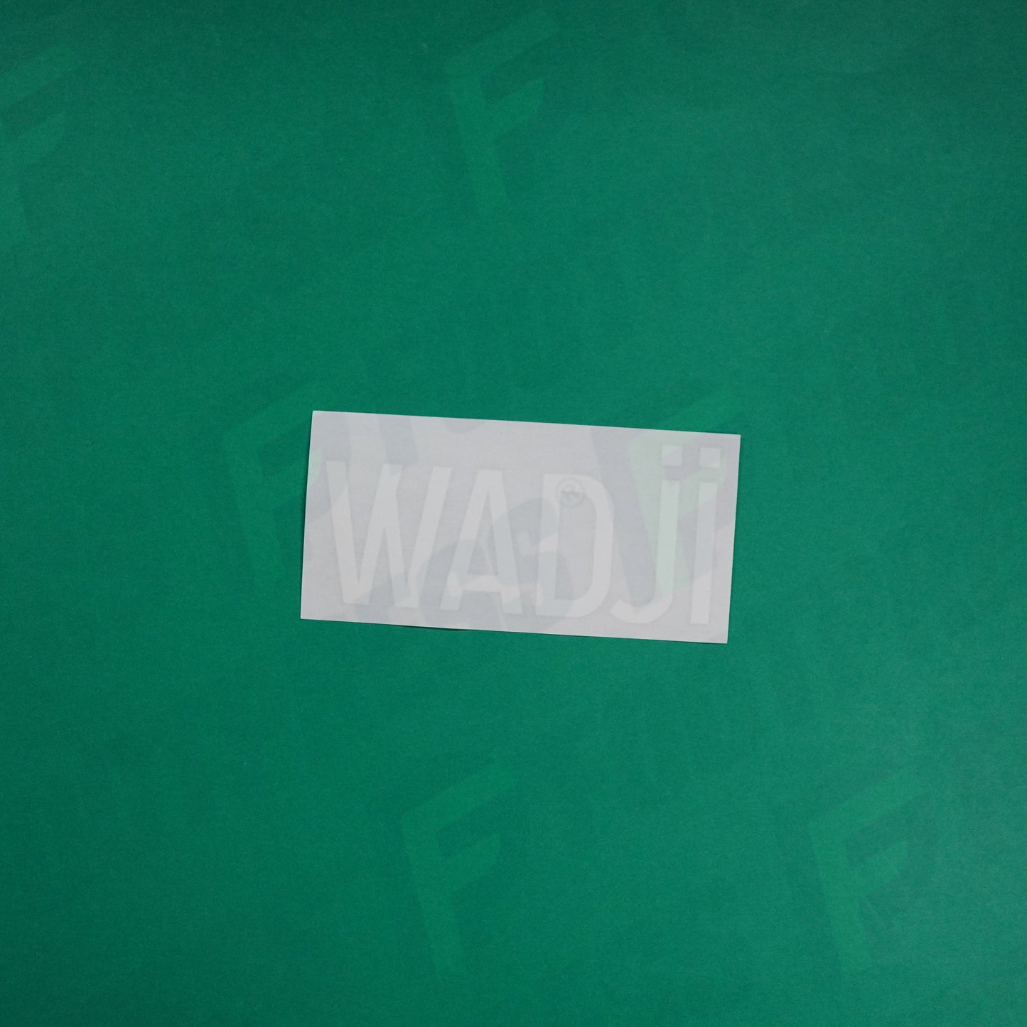 Flocage Officiel - AS Saint-Etienne, Nom Seul, Wadji, 2022/2023 2023/2024, Home, Blanc/Vert