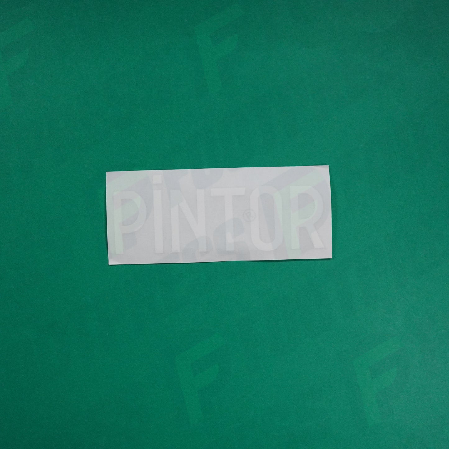 Flocage Officiel - AS Saint-Etienne, Nom Seul, Pintor, 2022/2023 2023/2024, Home, Blanc/Vert