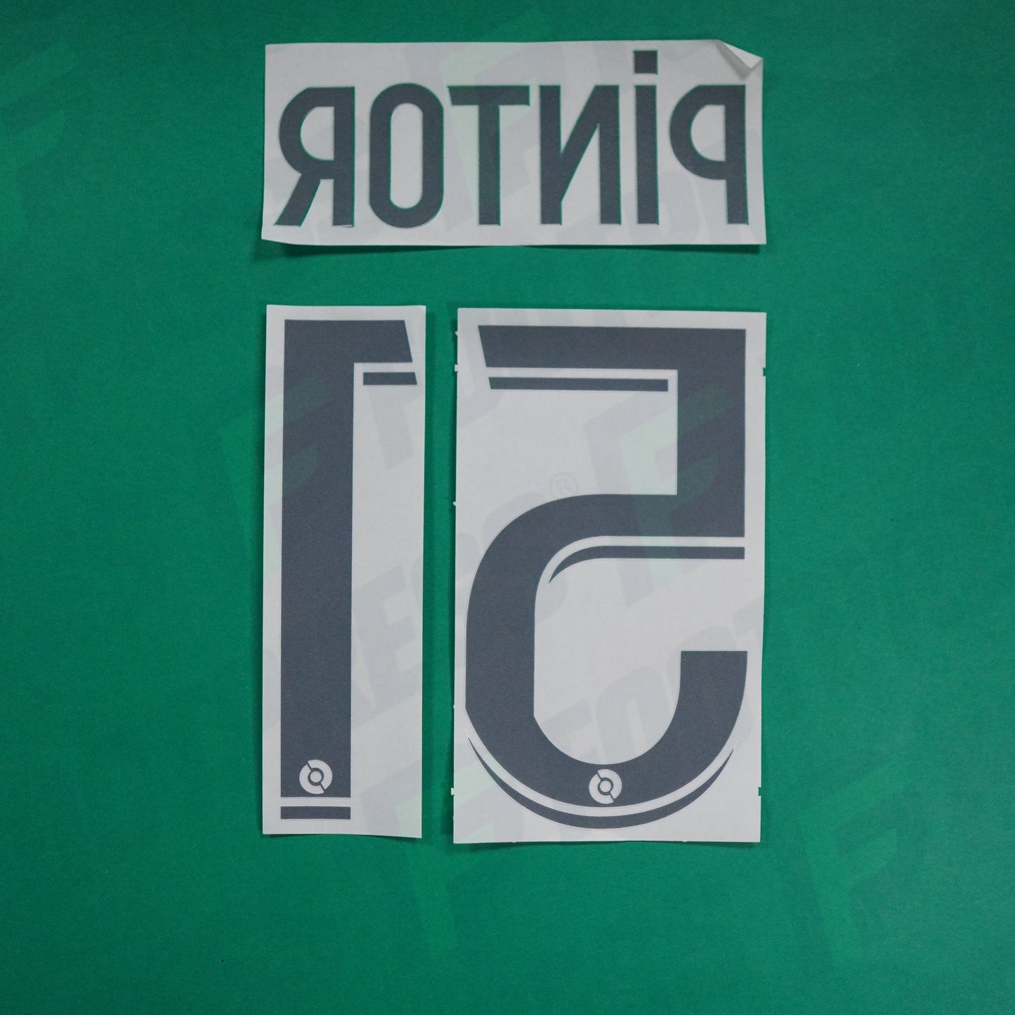 Flocage Officiel - AS Saint-Etienne, Pintor, 2022/2023 2023/2024, Home, Blanc/Vert