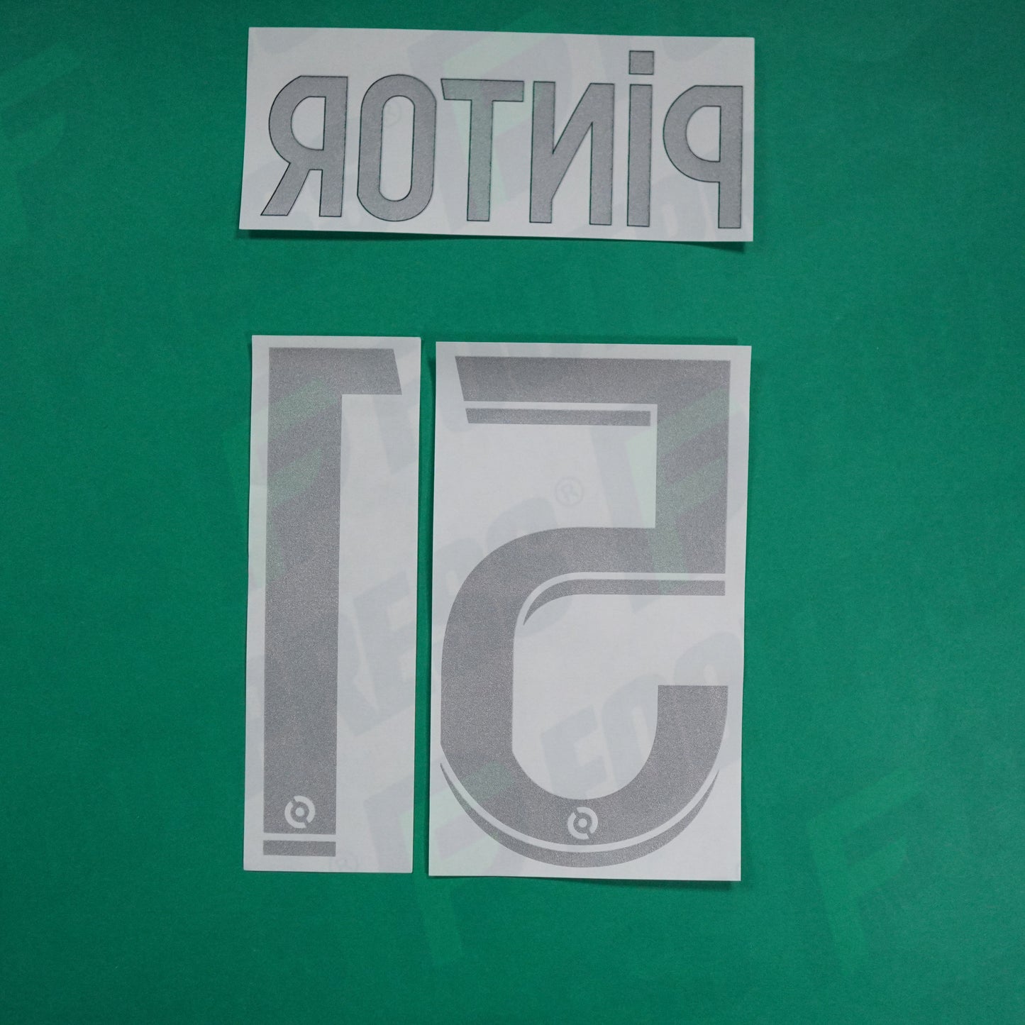 Flocage Officiel - AS Saint-Etienne, Pintor, 2022/2023, Third, Argenté