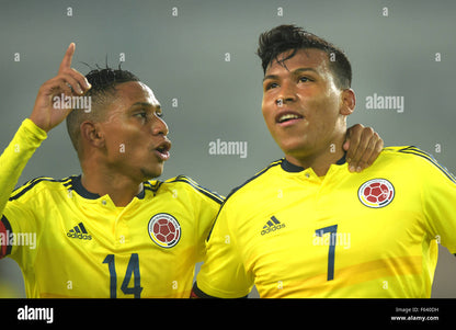 Maillot Officiel - Colombie, 2015, Home, Stock Pro, 6 (Environ S)