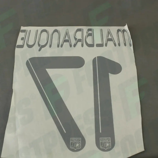 Official Nameset - Olympique Lyonnais, Malbranque, 2012/2013, Third, Black (OL)