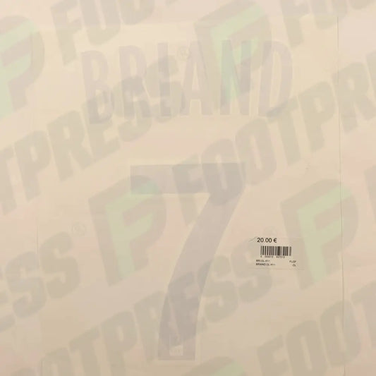 Flocado Oficial - Olympique Lyonnais, Briand, 2010/2011, Local, Azul (OL)