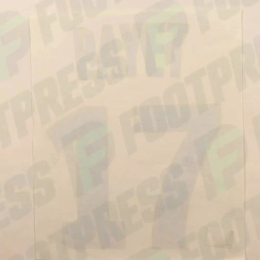 Flocado Oficial - Olympique de Marseille, Payet, 2013/2014, Local, Azul (OM)