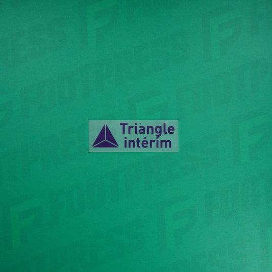 Flocado Oficial - AS Monaco, Triangle Interim, (Large), 2022/2023, Tercera, Púrpura