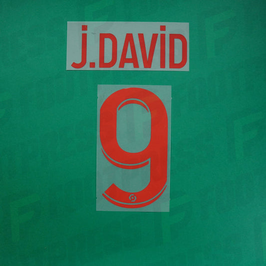 Flocage Officiel - Lille OSC, David, 2023/2024, Third, Rouge