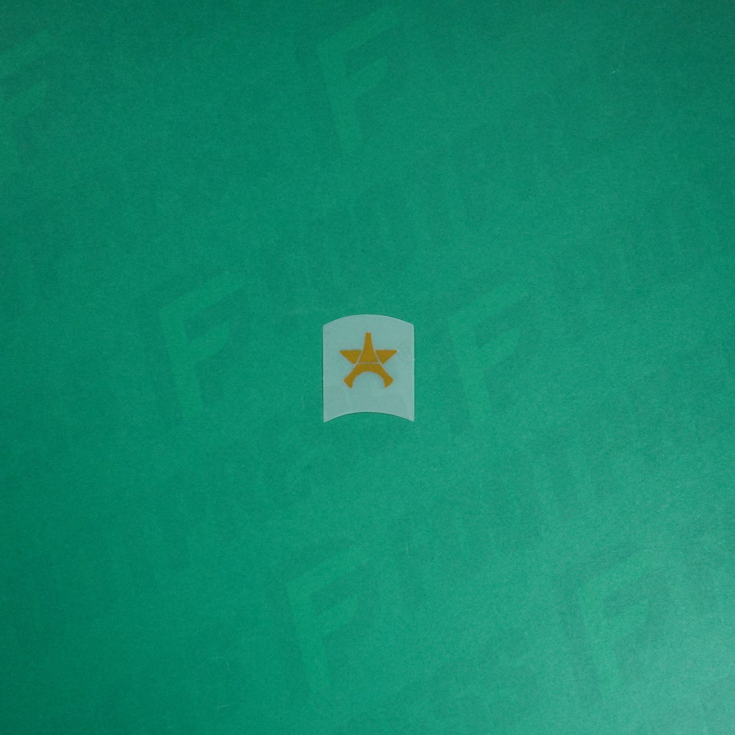 Flocage Officiel - Étoile Blason PSG Champions d'Europe (Adulte)