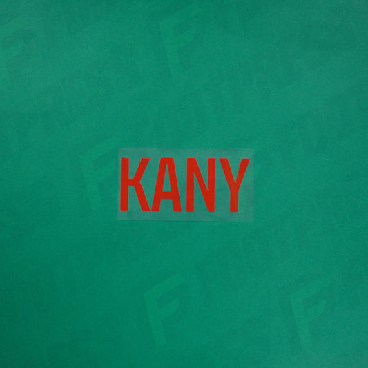 Flocage Officiel - Red Star FC, Kany, Ligue 2, Nom seul, Rouge