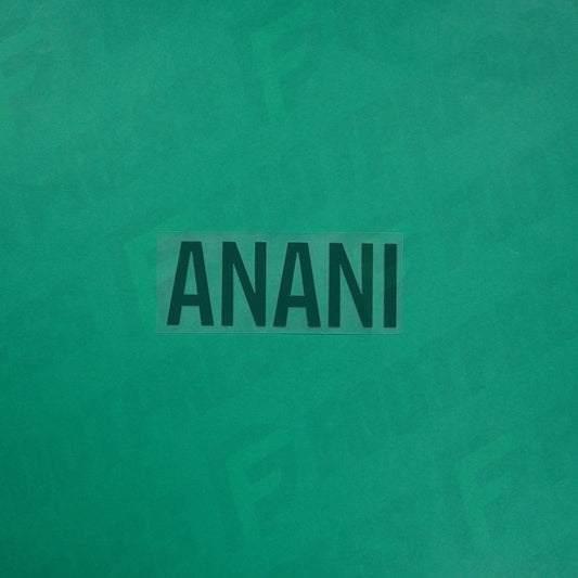 Flocage Officiel - Red Star FC, Anani, Ligue 2, Nom seul, Vert