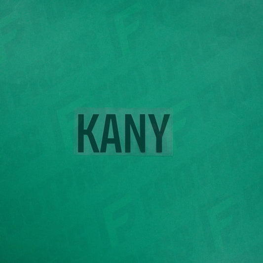 Flocage Officiel - Red Star FC, Kany, Ligue 2, Nom seul, Vert