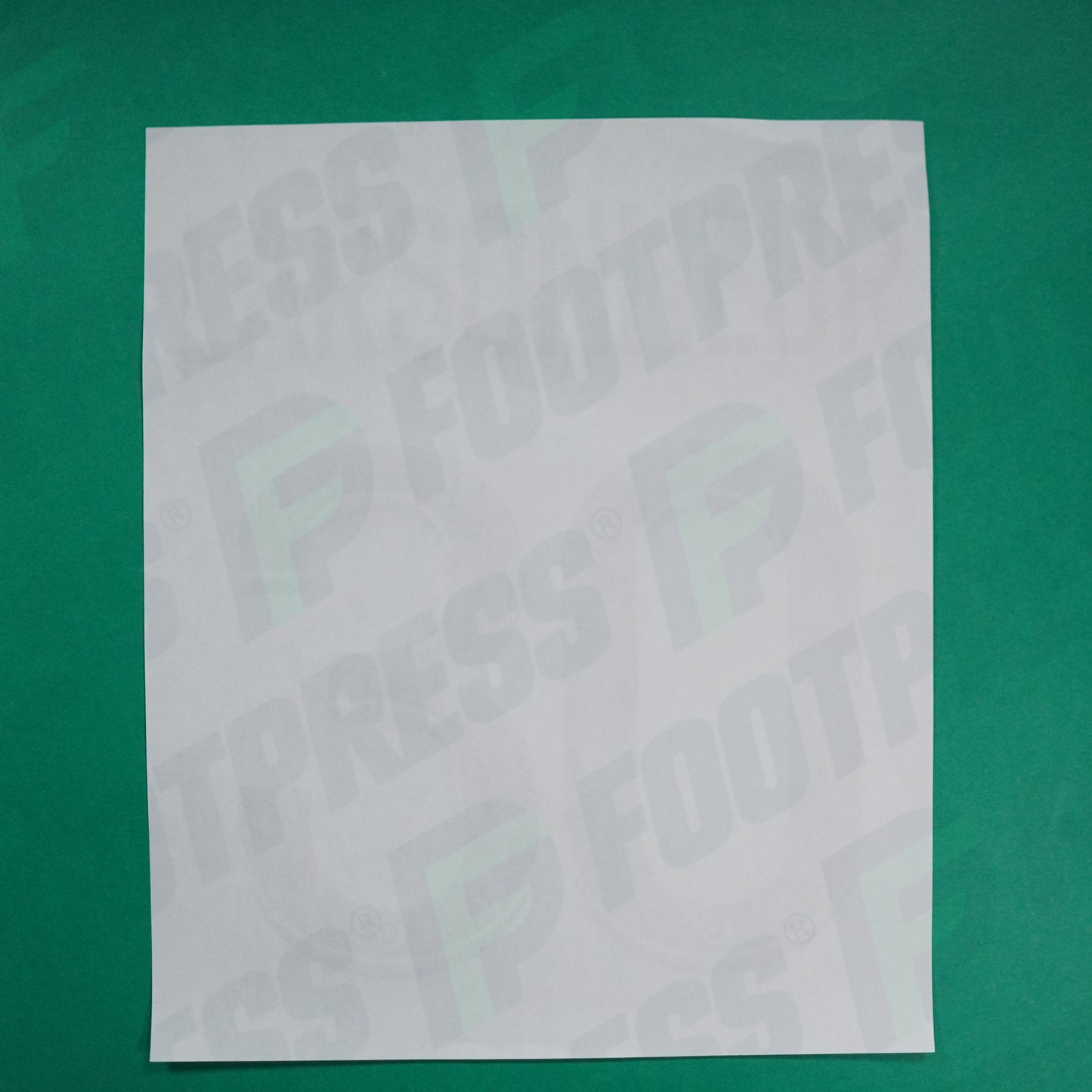 Flocage Officiel - AS Saint-Etienne, Larsonneur, 2023/2024, Maillot Anniversaire GK, Vert foncé