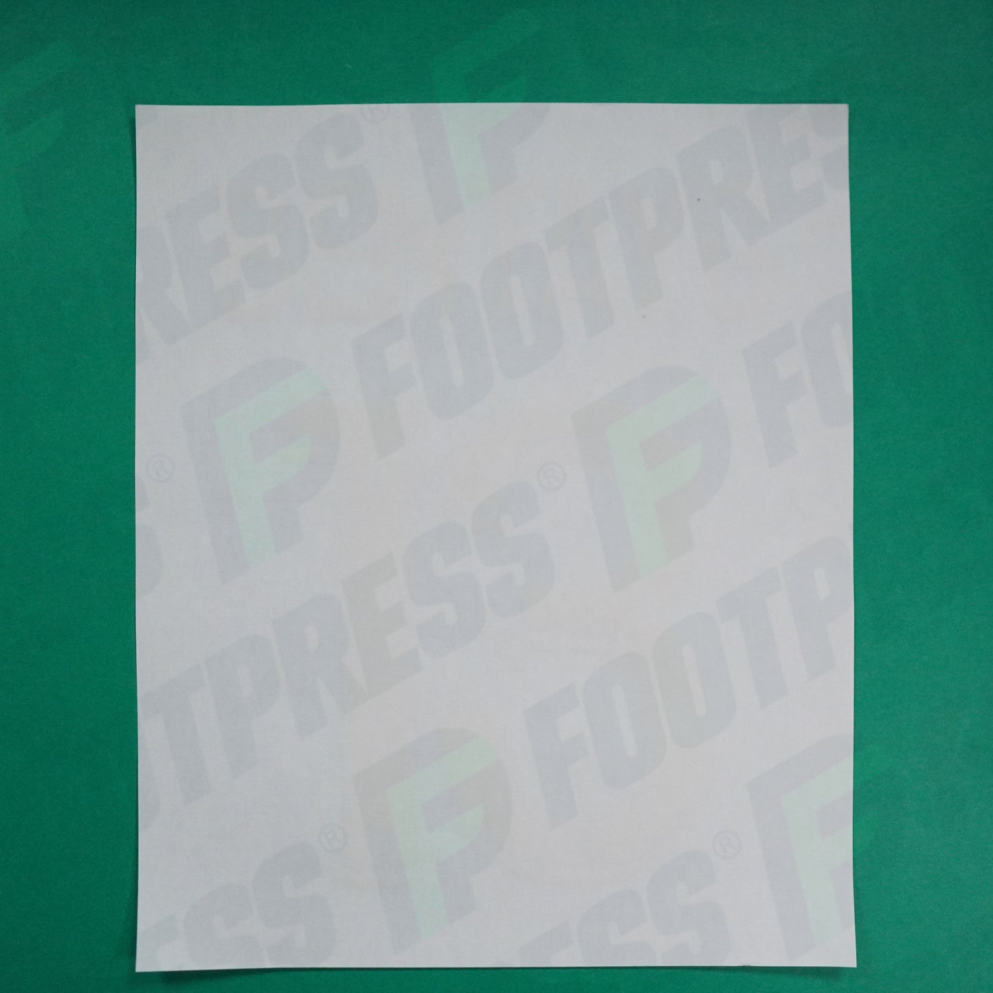 Flocage Officiel - AS Saint-Etienne, Bentayg, 2023/2024, Maillot Anniversaire, Doré