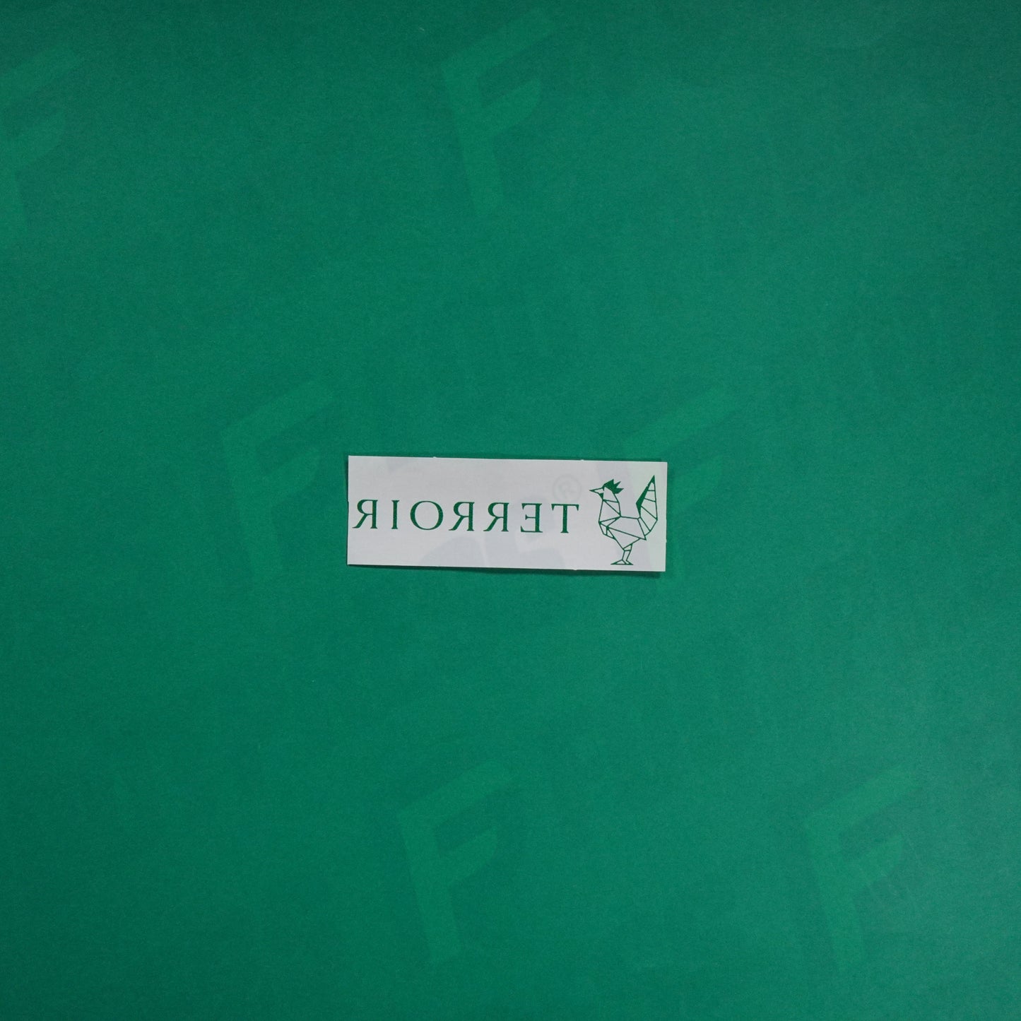 Flocage Officiel - Sponsor, AS Saint-Etienne, Terroir Fin, Vert