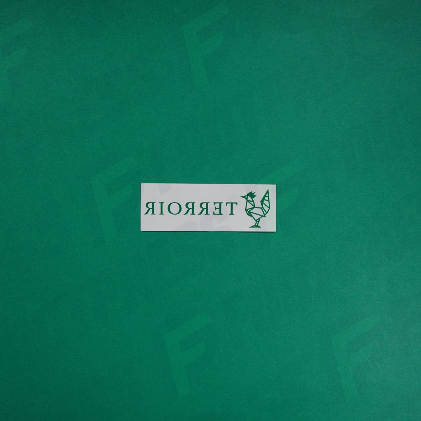 Flocage Officiel - Sponsor, AS Saint-Etienne, Terroir Epais, Vert