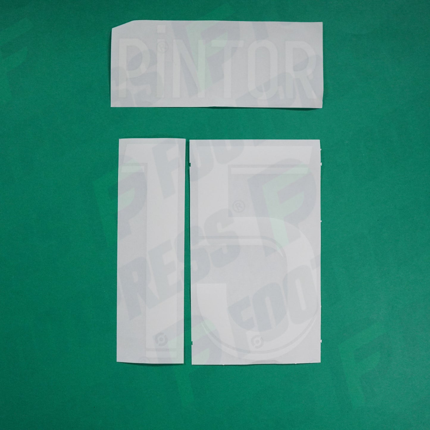 Flocage Officiel - AS Saint-Etienne, Pintor, 2022/2023 2023/2024, Home, Blanc/Vert