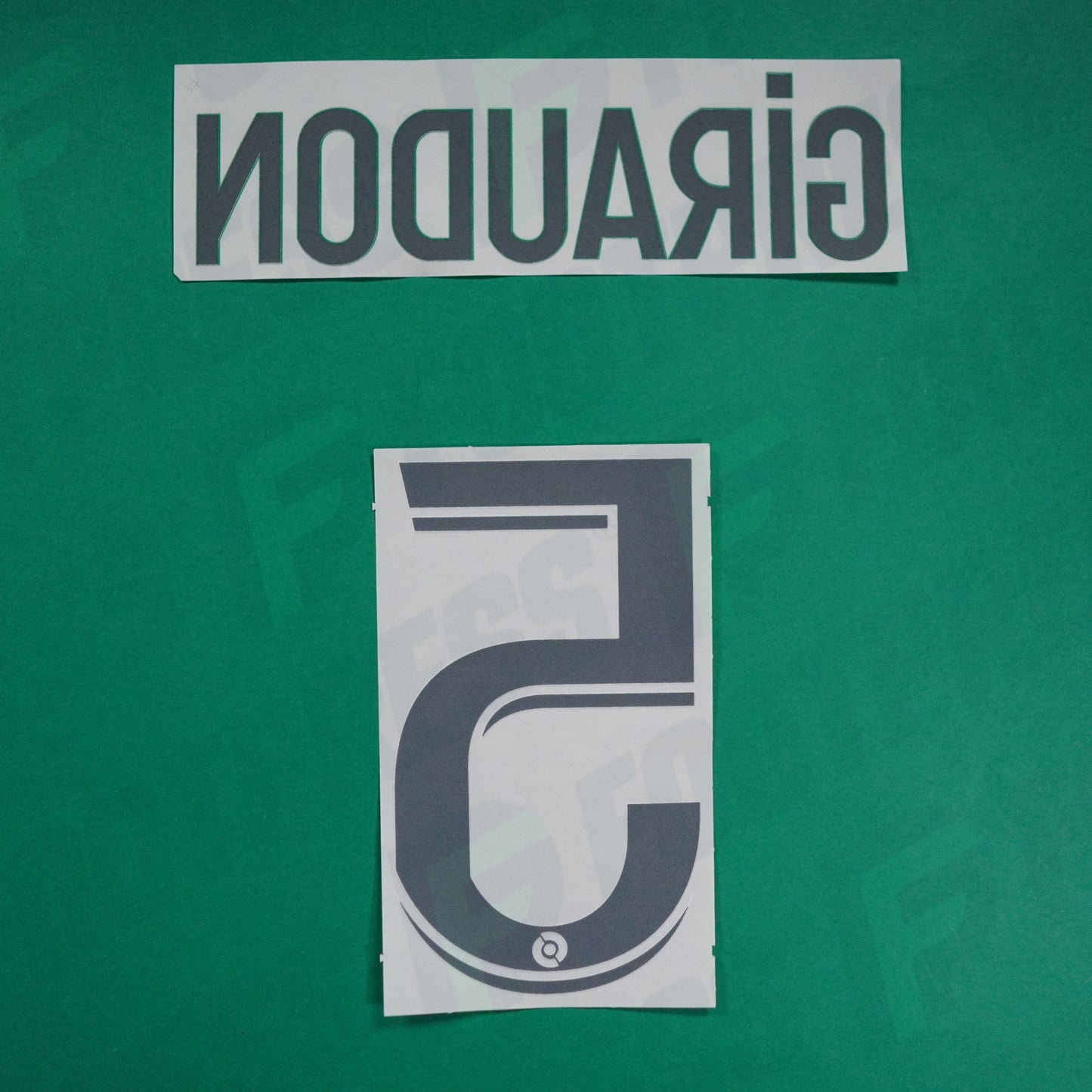 Flocage Officiel - AS Saint-Etienne, Giraudon, 2022/2023 2023/2024, Home, Blanc/Vert