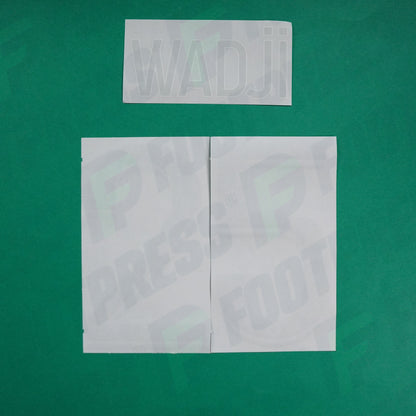 Flocage Officiel - AS Saint-Etienne, Wadji, 2022/2023 2023/2024, Away, Vert/Blanc