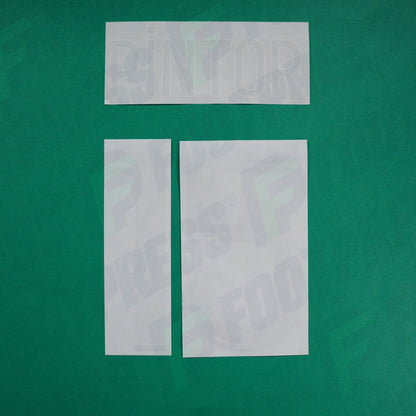 Flocage Officiel - AS Saint-Etienne, Pintor, 2022/2023 2023/2024, Away, Vert/Blanc