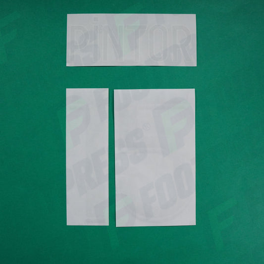 Flocage Officiel - AS Saint-Etienne, Pintor, 2022/2023 2023/2024, Away, Vert/Blanc