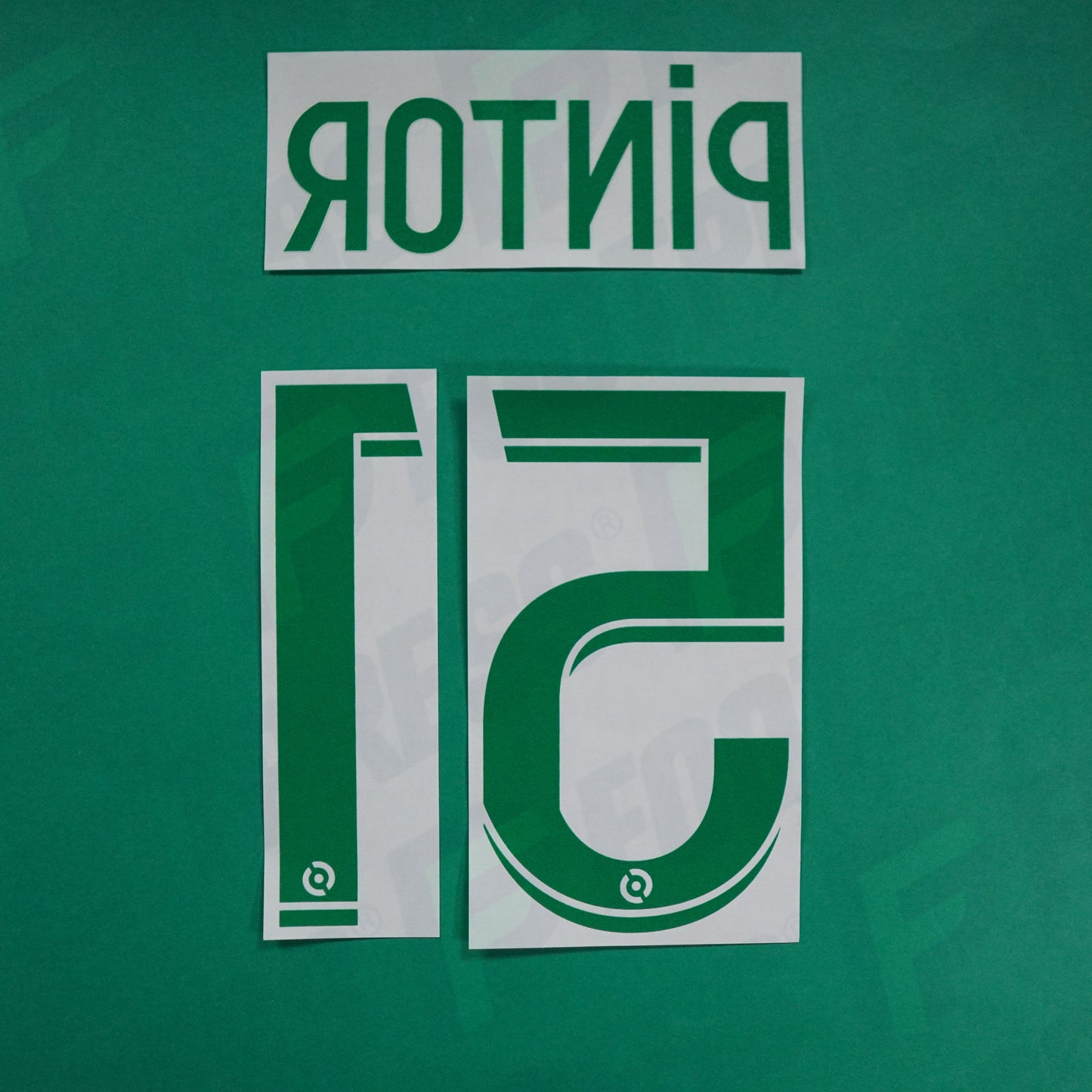 Flocage Officiel - AS Saint-Etienne, Pintor, 2022/2023 2023/2024, Away, Vert/Blanc