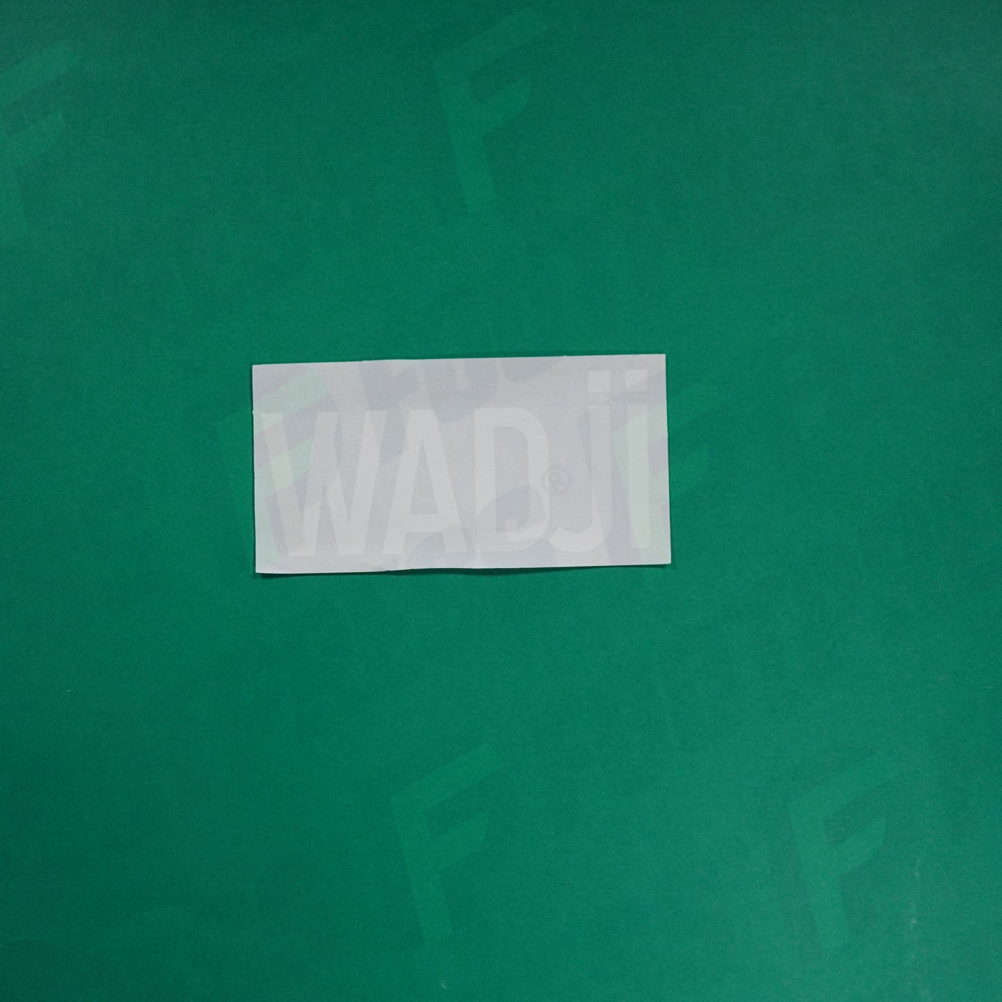 Flocage Officiel - AS Saint-Etienne, Nom Seul, Wadji, 2023/2024, Third, Blanc