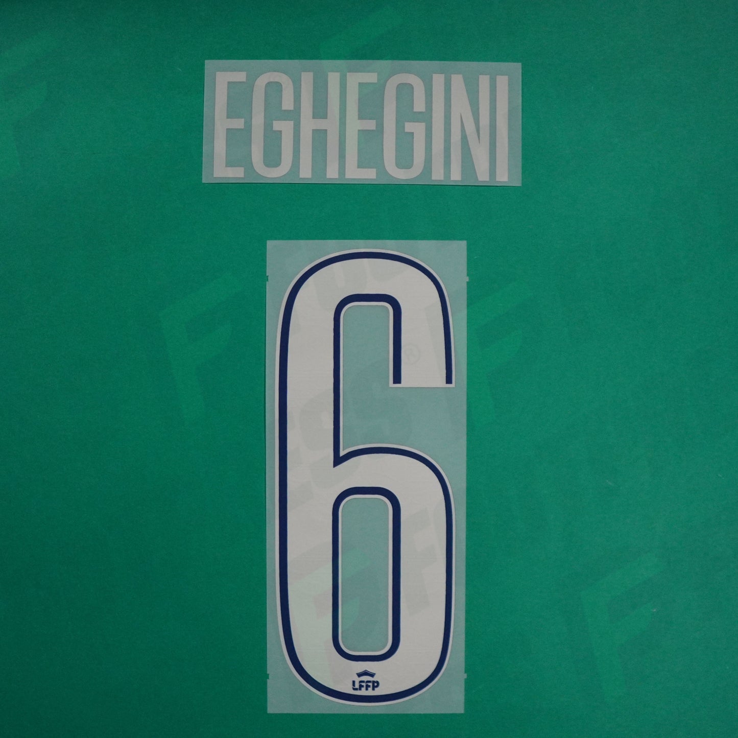 Flocage Officiel - Paris Saint-Germain Féminine, Echegini, 2024/2025, Fourth, Argenté